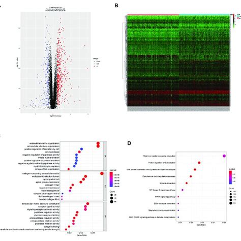 Degs Identification And Functional Enrichment Analysis Ab Volcano