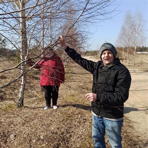 Wiosna Cieplejszy Wieje Wiatr Rodowiskowy Dom Samopomocy