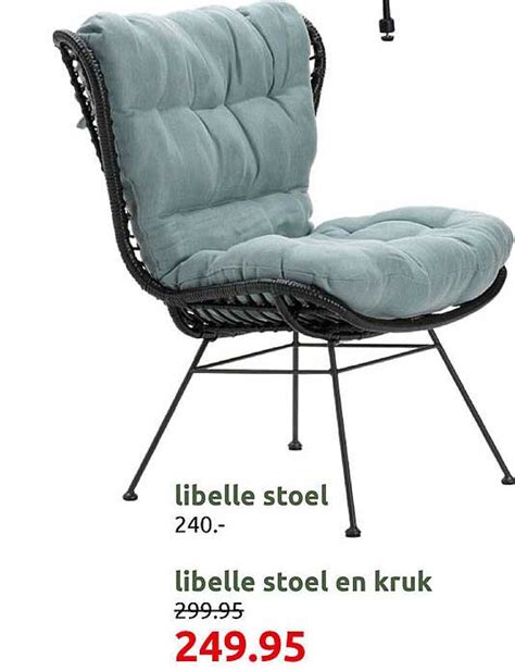 Libelle Stoel Of Libelle Stoel En Kruk Aanbieding Bij Dekatuin