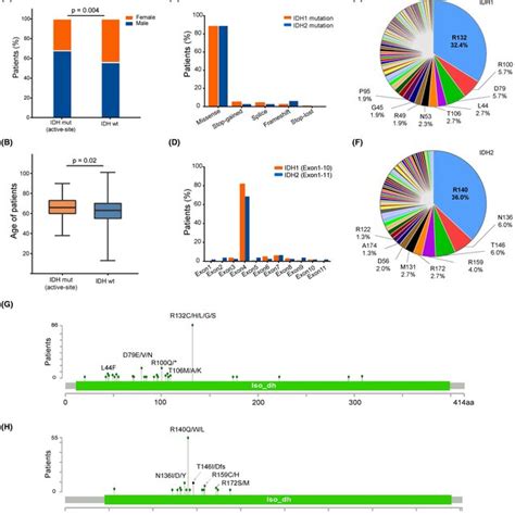 Subclonal Analysis Of IDH1 2 Mutations A Heatmap Of IDH Mutations