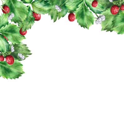 Christmas Border Transparent PNGs for Free Download