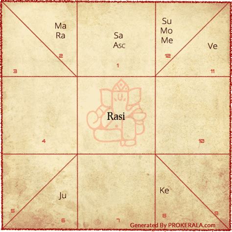 Vedic Astrology Birth Chart Calculator / How to read a birth chart?