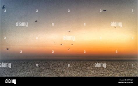 Aves volando sobre el mar fotografías e imágenes de alta resolución Alamy