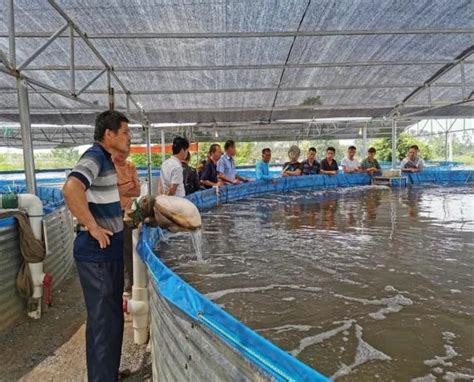 “数”说新模式！陆基圆池怎么养加州鲈圆池陆基加州鲈新浪新闻