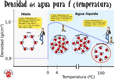 14 Propiedades Del Agua