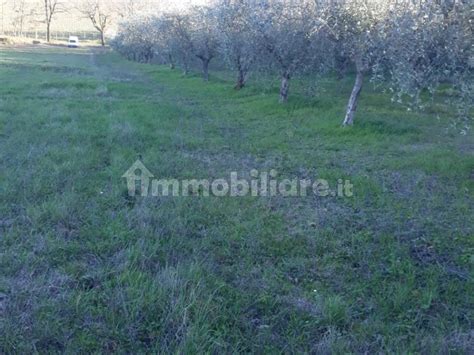 Terreno Agricolo Vocabolo Colle Sant Andrea Bevagna Rif