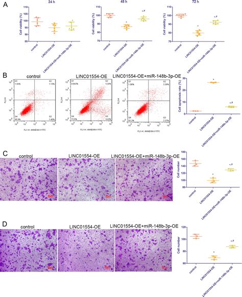 Long Non Coding Rna Linc Overexpression Suppresses Viability