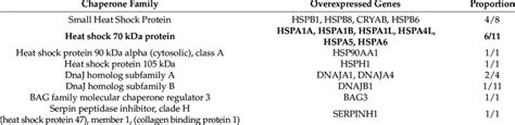 Classification Of Overexpressed Genes According To Heat Shock Protein