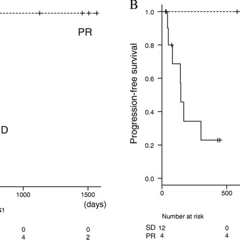 Kaplan Meier Curves Of Pfs According To The Confirmed Response During Download Scientific