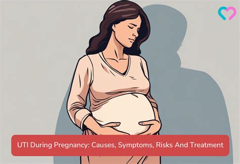 UTI During Pregnancy Causes Symptoms Risks And Treatment MomJunction