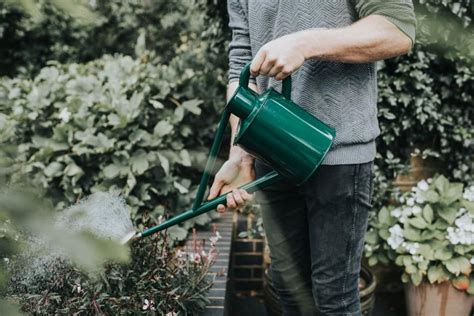 HAWS Metall Gießkanne The Warley Fall 4 5 Liter Bloomling Deutschland