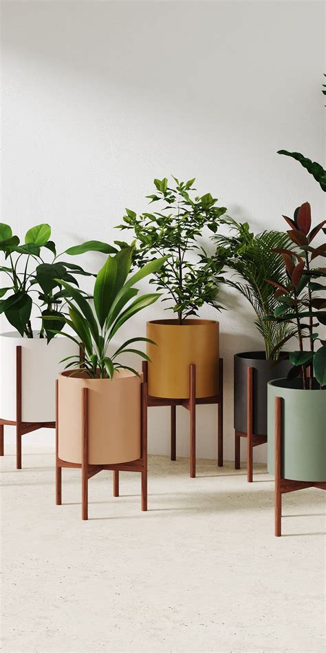 Modern planters indoor – Artofit