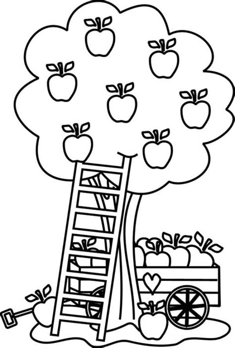 Get This Apple Coloring Pages Free Printable fyo108