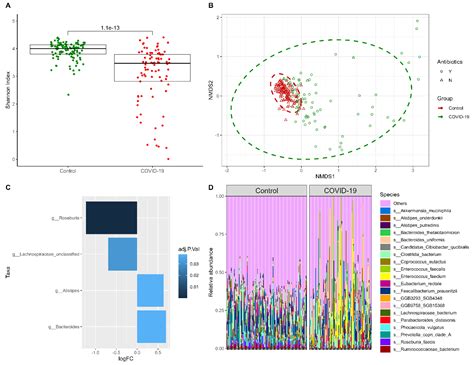 Ijms Free Full Text Gut Microbiome Composition And Dynamics In