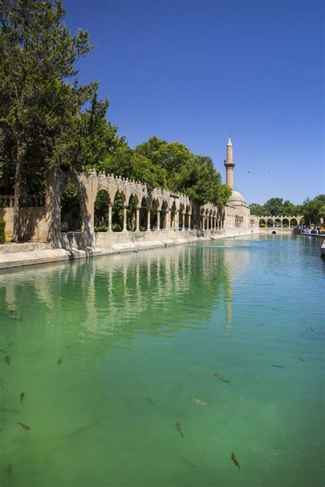 Urfa Holy Lake With Sacred Fish In Golbasi Park Stock Image Image Of