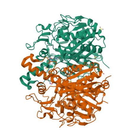 RCSB PDB 5SNV PanDDA Analysis Group Deposition Crystal Structure