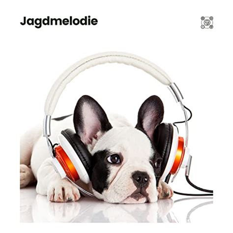 Amazon Music Hundemusik Entspannende Musik F R Hunde Beruhigende