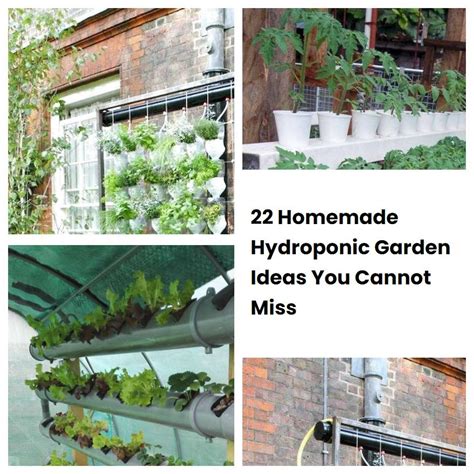 22 Homemade Hydroponic Garden Ideas You Cannot Miss Sharonsable