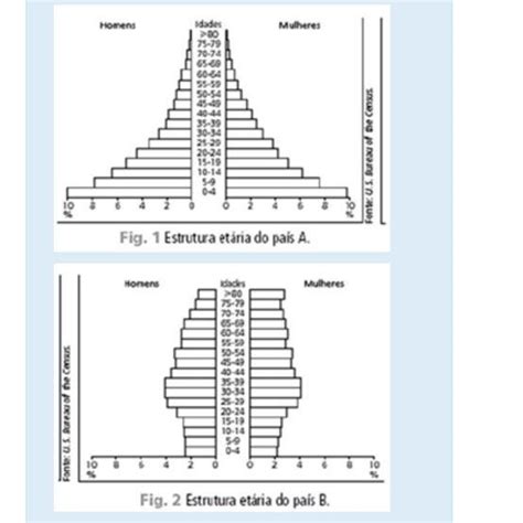 Resumo Sobre Pirâmide Etária Geografia 2FA