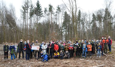 Nachhaltigkeitsaktion Ein Baum F R Jedes Neue Girokonto Sparkasse