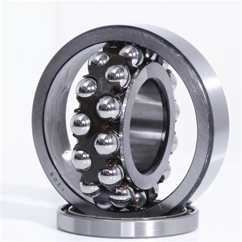 NSK SKF NTN INA IKO Original Double Row 1218 Self Aligning Ball Bearing