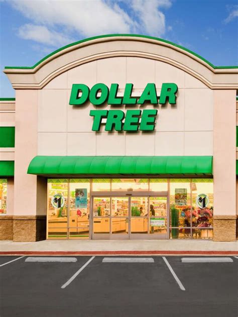 Dollar Trees Best Deals Regulars Reveal 8 Standout Buys For Your