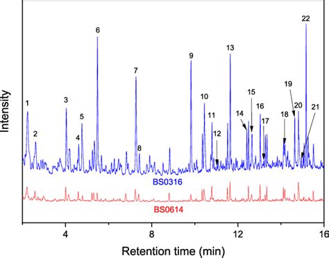 Py-GC/MS chromatograms of PM 2.5 samples collected at the bus stop. | Download Scientific Diagram