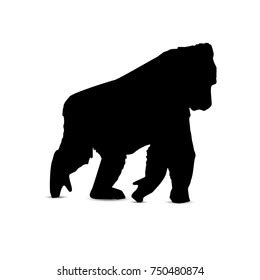 Vector Illustration Gorilla Silhouette Stock Vector (Royalty Free ...