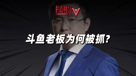 又有老板被抓！起底斗鱼老板陈少杰！上市直播巨头为何涉黄涉赌？高清1080p在线观看平台腾讯视频