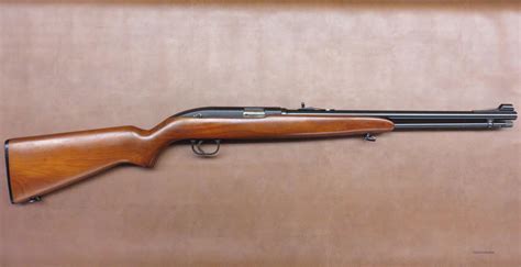 Winchester Model 77 For Sale At 942414608