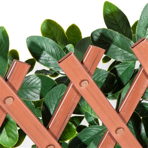 Expandable English Laurel Privacy Fence Natrahedge Natrahedge