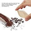 Amazon Pcs Tea Filter Bags Disposable Paper Tea Bag With