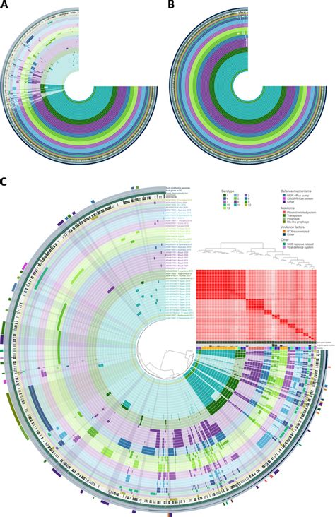 Pangenome Analysis Representation With Anvi O Software Isolates Are