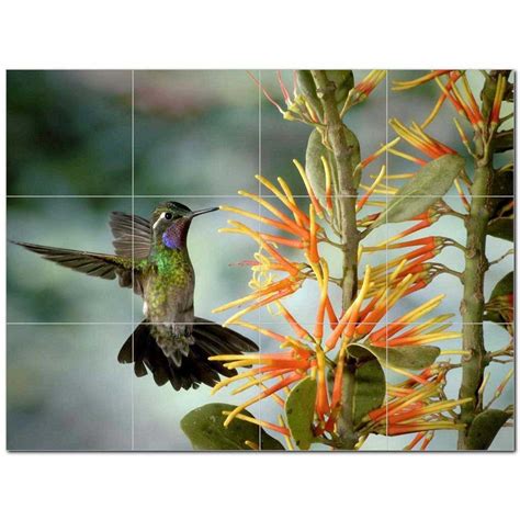 Bird Photo Ceramic Tile Mural Kitchen Backsplash Bathroom Shower 404081 ...