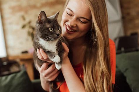 Wie Schwer Sollte Eine Katze Mit Vier Monaten Sein Katzenalarm