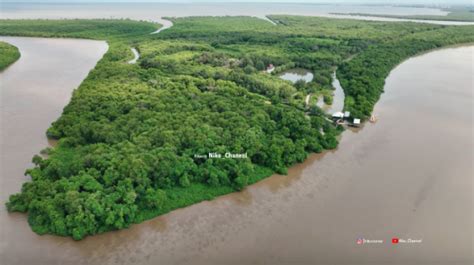 Potret Terbaru Pulau Lusi, Daratan Hasil dari Endapan Lumpur Lapindo Sidoarjo