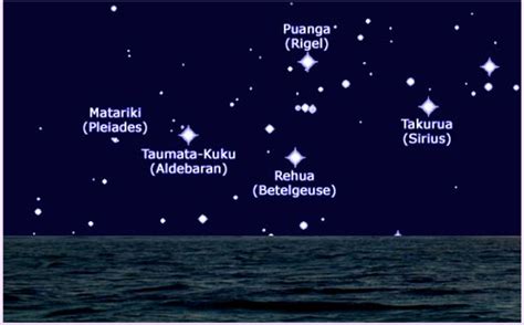 matariki  puanga star viewing  breakfast tomorrow