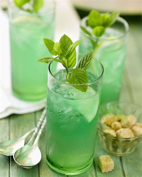 Cocktail Au Rhum Et à La Menthe Pour 1 Personne Recettes Elle à Table