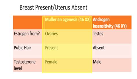 GYN: Amenorrhea Flashcards | Quizlet