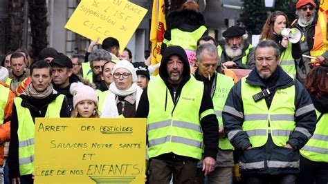 Une marée jaune gros coefficient nrpyrenees fr