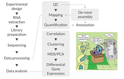 Midtermreview Bch709 Introduction To Bioinformatics