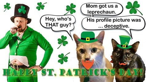 St Patricks Day Cats Wallpapers Wallpaper Cave