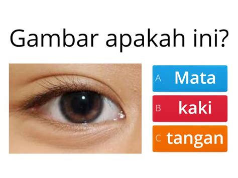mengenal bagian bagian tubuh  kegunaannya quiz