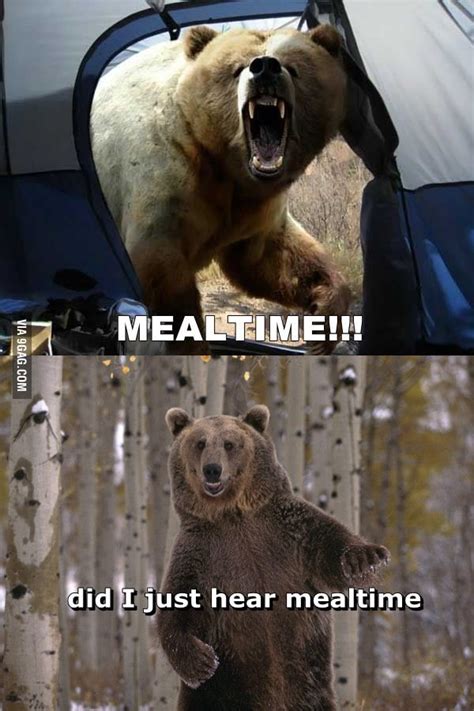 Just Bears 9gag