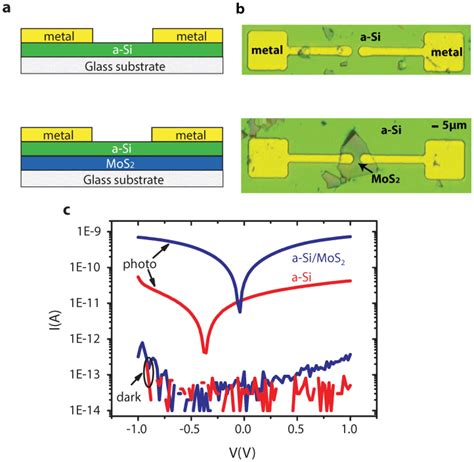 A Schematic Of Cross Sections Of Two Metal Semiconductor Metal Msm