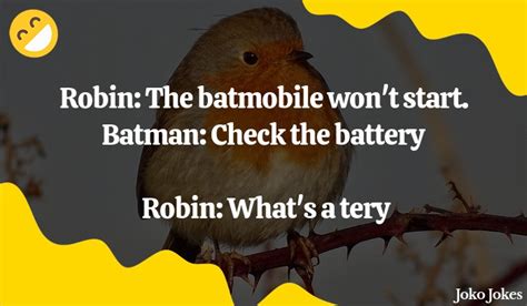 150+ Robin Jokes And Funny Puns - JokoJokes