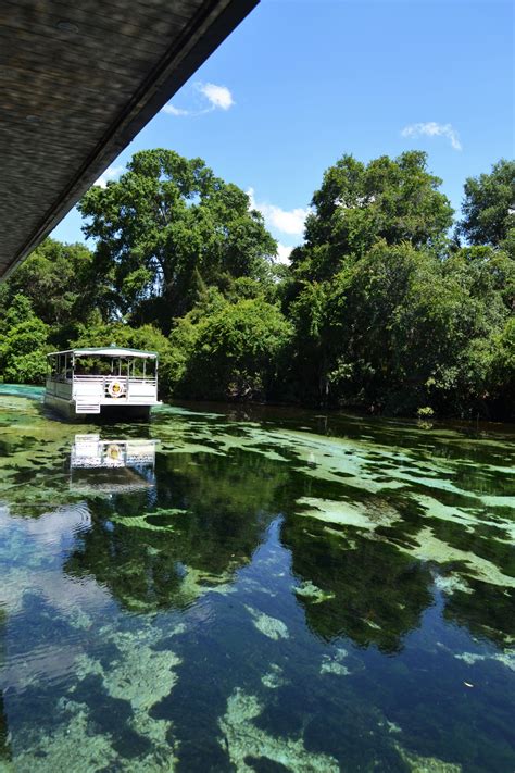 Weeki Wachee Springs Home Of The Original Mermaids The River Boat