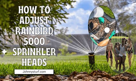 Easy Guide On Rainbird Adjustment Rainbird Sprinkler Heads