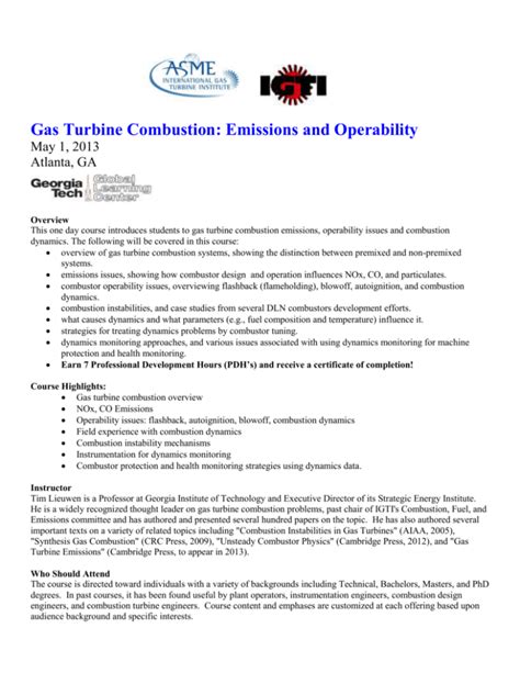 Combustion Dynamics In Gas Turbine Power Plants Workshop