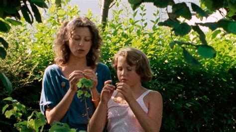 The Green Ray | Haifa International Film Festival
